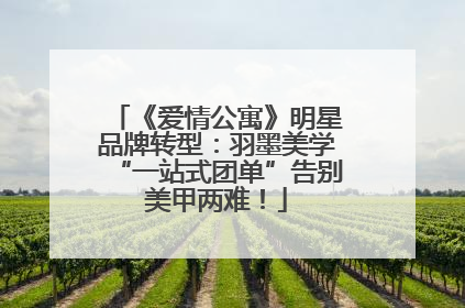 《爱情公寓》明星品牌转型：羽墨美学“一站式团单”告别美甲两难！