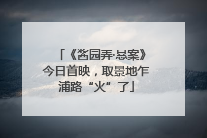 《酱园弄·悬案》今日首映，取景地乍浦路“火”了