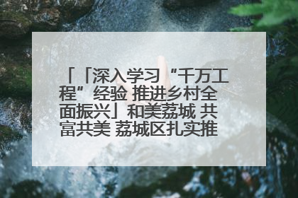 「深入学习“千万工程”经验 推进乡村全面振兴」和美荔城 共富共美 荔城区扎实推进乡村振兴工作