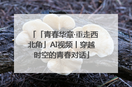 「青春华章·重走西北角」AI视频丨穿越时空的青春对话