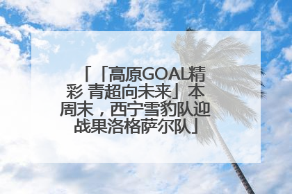 「高原GOAL精彩 青超向未来」本周末，西宁雪豹队迎战果洛格萨尔队