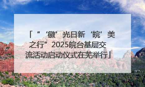 “‘徽’光日新‘皖’美之行”2025皖台基层交流活动启动仪式在芜举行