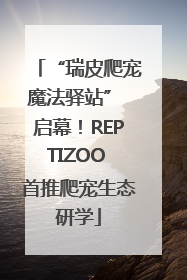 “瑞皮爬宠魔法驿站” 启幕！REPTIZOO 首推爬宠生态研学