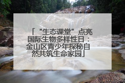 “生态课堂”点亮国际生物多样性日：金山区青少年探秘自然共筑生命家园