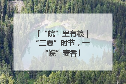 “皖”里有粮｜“三夏”时节，一“皖”麦香
