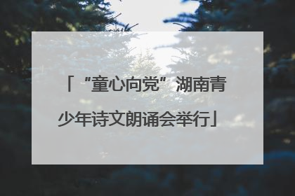 “童心向党”湖南青少年诗文朗诵会举行