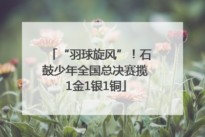 “羽球旋风”！石鼓少年全国总决赛揽1金1银1铜