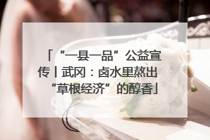 “一县一品”公益宣传丨武冈：卤水里熬出“草根经济”的醇香