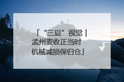 “三夏”视觉｜孟州麦收正当时 机械减损保归仓