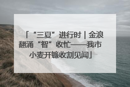 “三夏”进行时｜金浪翻涌“智”收忙——我市小麦开镰收割见闻