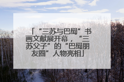“三苏与巴蜀”书画文献展开幕，“三苏父子”的“巴蜀朋友圈”人物亮相