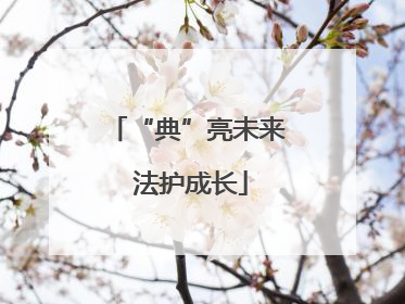 “典”亮未来 法护成长