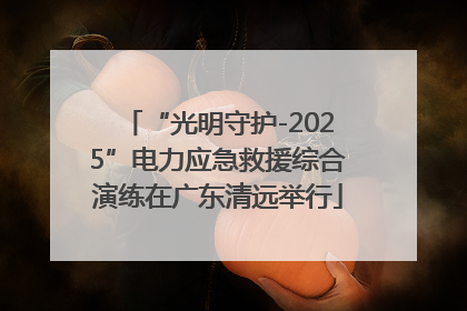 “光明守护-2025”电力应急救援综合演练在广东清远举行
