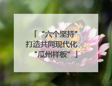 “六个坚持”打造共同现代化“瓜州样板”