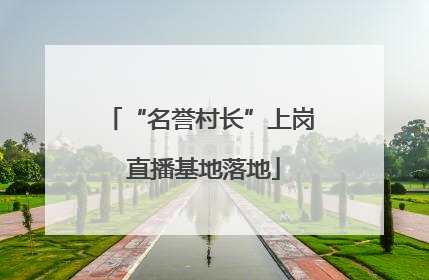 “名誉村长”上岗 直播基地落地