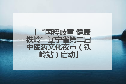“国粹岐黄 健康铁岭”辽宁省第二届中医药文化夜市（铁岭站）启动