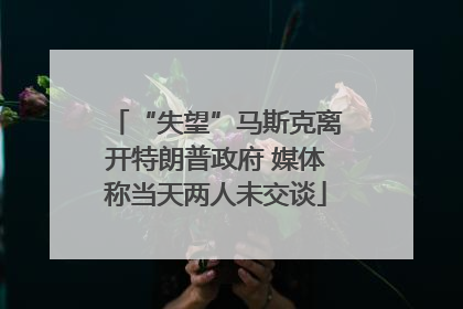“失望”马斯克离开特朗普政府 媒体称当天两人未交谈