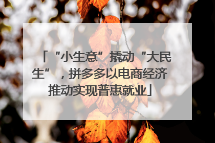 “小生意”撬动“大民生”，拼多多以电商经济推动实现普惠就业