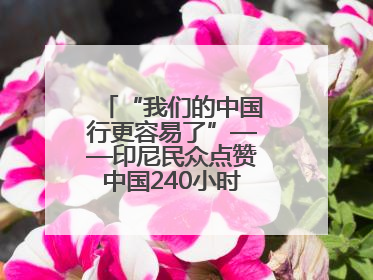 “我们的中国行更容易了”——印尼民众点赞中国240小时过境免签政策