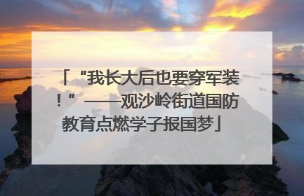 “我长大后也要穿军装！”——观沙岭街道国防教育点燃学子报国梦