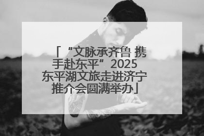 “文脉承齐鲁 携手赴东平”2025东平湖文旅走进济宁推介会圆满举办