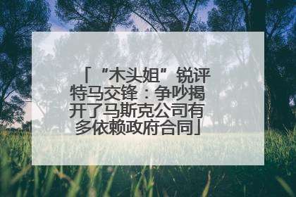 “木头姐”锐评特马交锋：争吵揭开了马斯克公司有多依赖政府合同