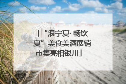 “浪宁夏· 畅饮一夏”美食美酒展销市集亮相银川