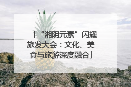 “湘阴元素”闪耀旅发大会：文化、美食与旅游深度融合