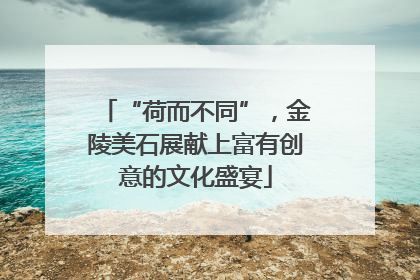 “荷而不同”，金陵美石展献上富有创意的文化盛宴
