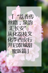“荔香传丝路，泉韵汇长安” 从化荔枝文化季西安行开启双城甜蜜新篇