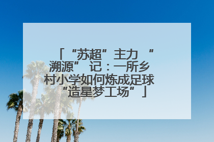 “苏超”主力 “溯源” 记：一所乡村小学如何炼成足球 “造星梦工场”