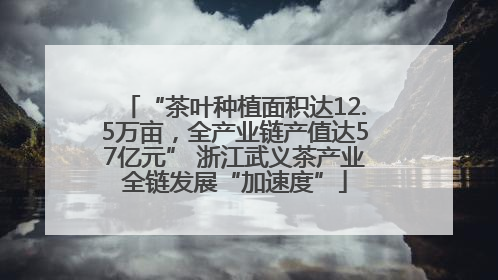 “茶叶种植面积达12.5万亩，全产业链产值达57亿元” 浙江武义茶产业全链发展“加速度”