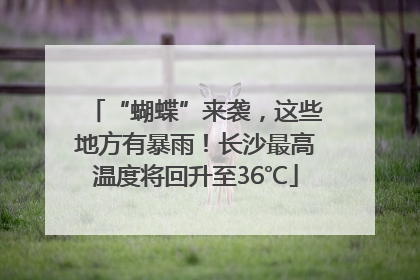 “蝴蝶”来袭，这些地方有暴雨！长沙最高温度将回升至36℃