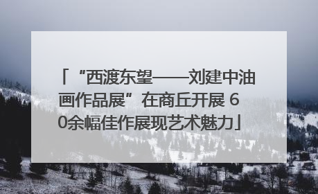 “西渡东望——刘建中油画作品展”在商丘开展 60余幅佳作展现艺术魅力