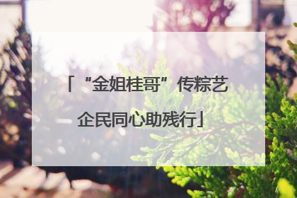 “金姐桂哥”传粽艺 企民同心助残行