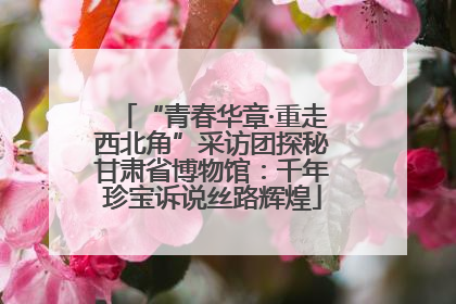 “青春华章·重走西北角”采访团探秘甘肃省博物馆：千年珍宝诉说丝路辉煌