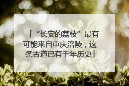 “长安的荔枝”最有可能来自重庆涪陵，这条古道已有千年历史