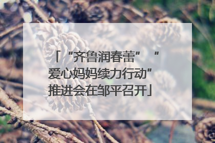 “齐鲁润春蕾”“爱心妈妈续力行动”推进会在邹平召开