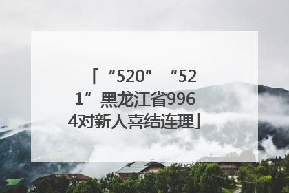 “520”“521”黑龙江省9964对新人喜结连理