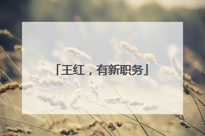 王红，有新职务