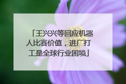 王兴兴等回应机器人比赛价值，进厂打工是全球行业困境