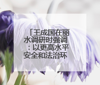 王成国在丽水调研时强调：以更高水平安全和法治环境服务保障山区海岛县高质量发展