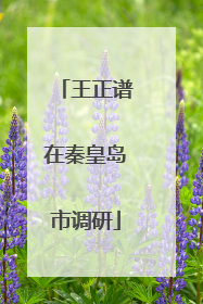 王正谱在秦皇岛市调研