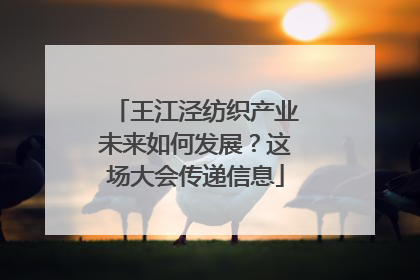 王江泾纺织产业未来如何发展？这场大会传递信息