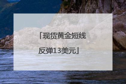 现货黄金短线反弹13美元