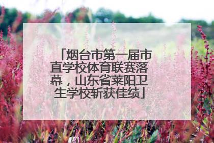 烟台市第一届市直学校体育联赛落幕，山东省莱阳卫生学校斩获佳绩