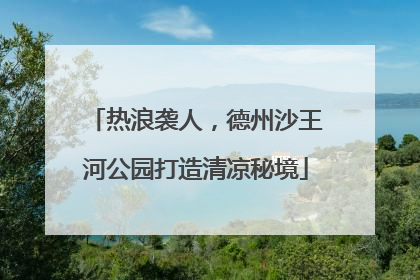 热浪袭人，德州沙王河公园打造清凉秘境
