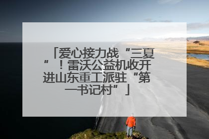 爱心接力战“三夏”！雷沃公益机收开进山东重工派驻“第一书记村”