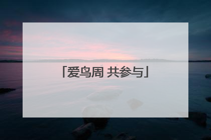 爱鸟周 共参与