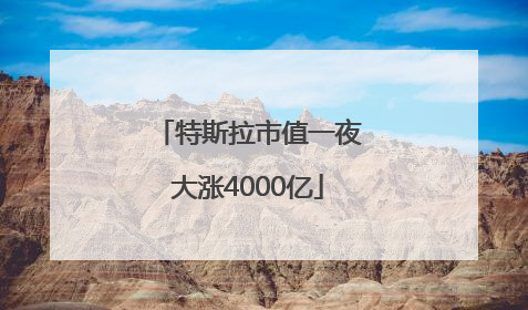 特斯拉市值一夜大涨4000亿